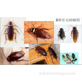 Public health cockroach control roach kill
